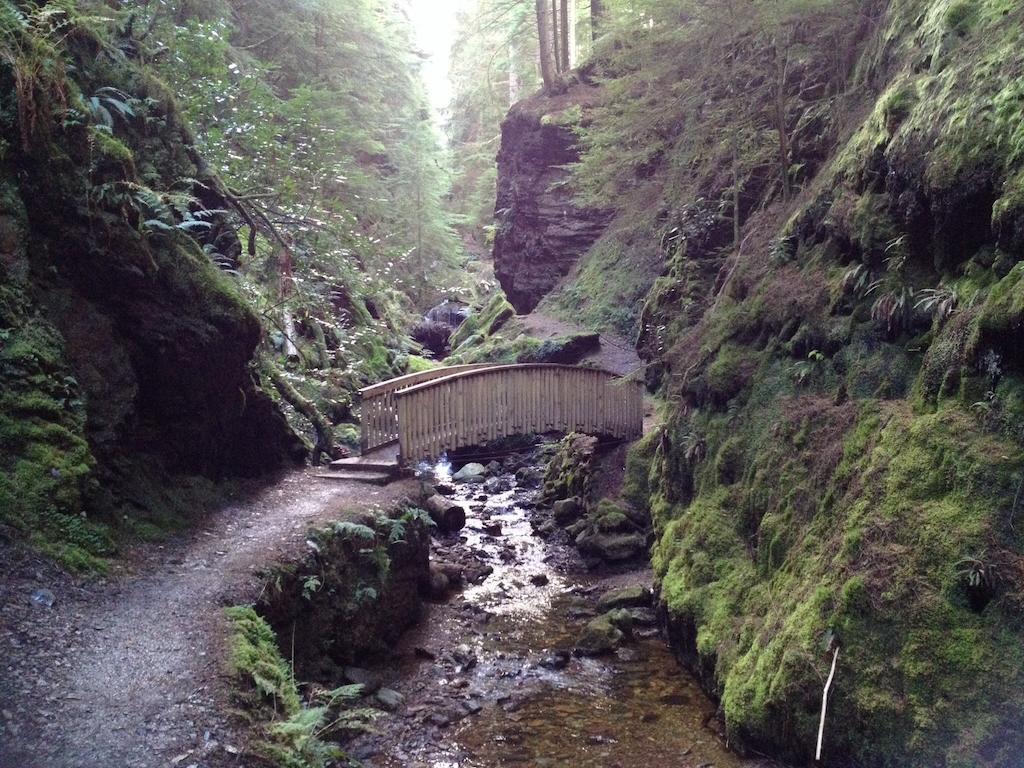 Pucks Glen Lodges, Rashfield, By 다눈 객실 사진