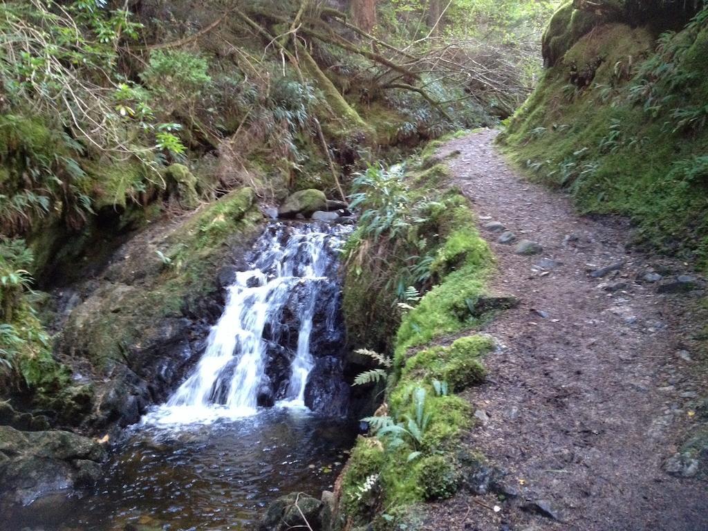 Pucks Glen Lodges, Rashfield, By 다눈 객실 사진